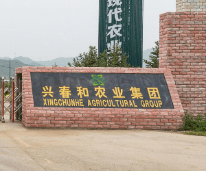 案例