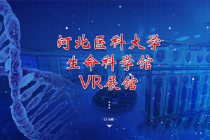 案例