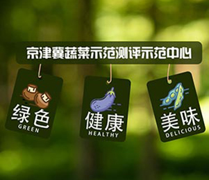 案例